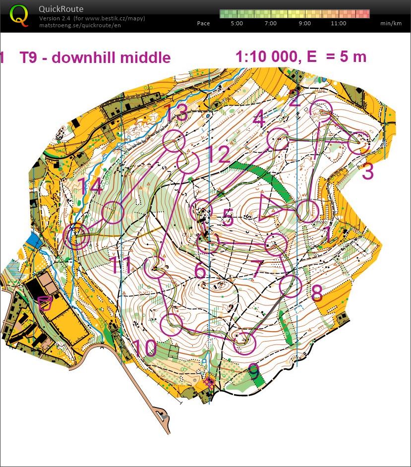 VT Pernink downhill (14.08.2021)