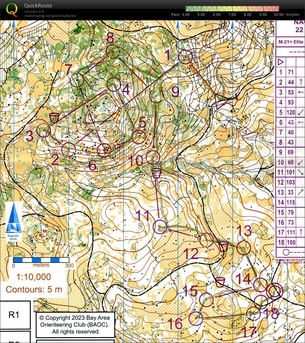 Cal-O-Fest 2023 - E5 NAOC Middle Kyburz Flat (M21E) (22.07.2023)