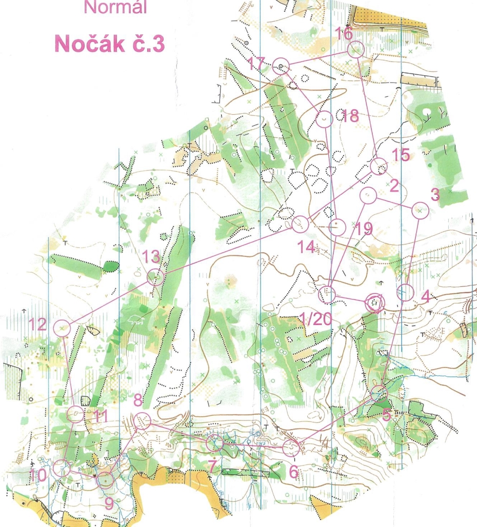 CHC trénink nočák 3 (05.03.2016)