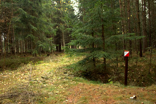 Kontrola s kdem 31