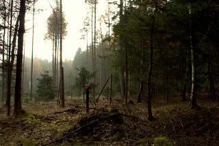 Kontrola s kdem 33