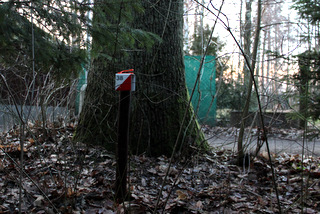 Kontrola s kdem 38
