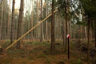 Kontrola s kdem 40